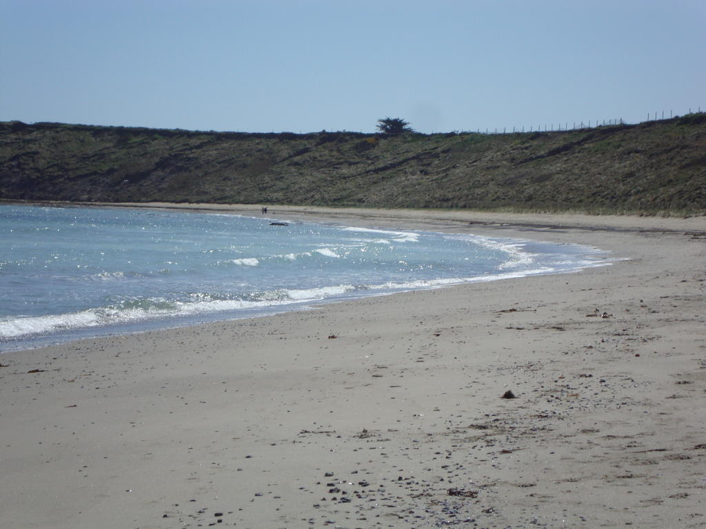 Clifford House B & B Rosslare Harbour Kültér fotó