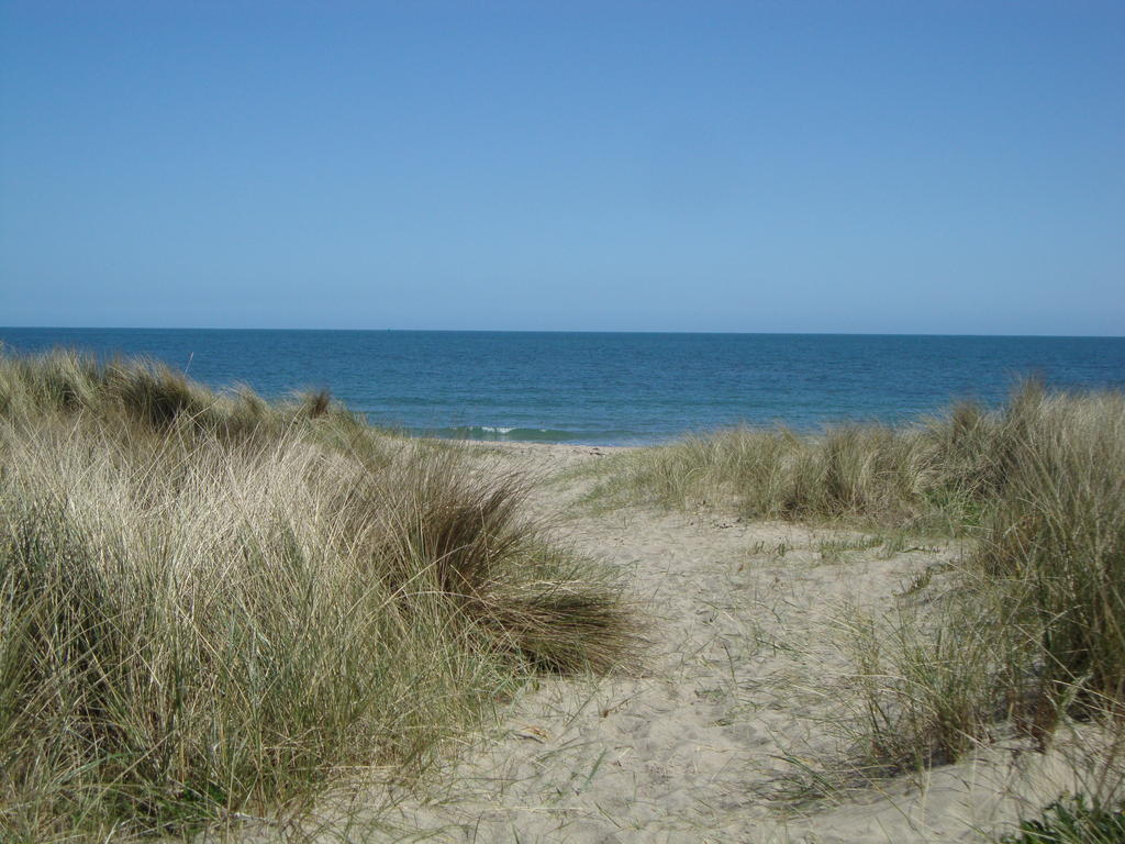 Clifford House B & B Rosslare Harbour Kültér fotó